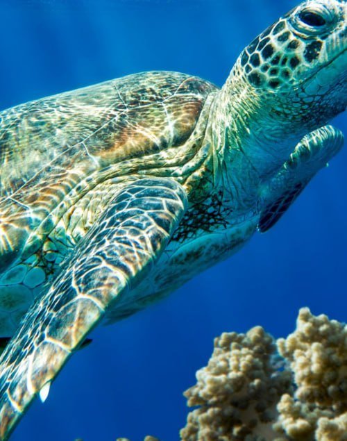 IMG_20250907_210623_412 IMG_20250907_210623_412