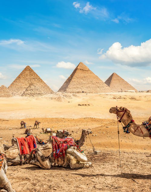 IMG_20250907_210632_808 IMG_20250907_210632_808