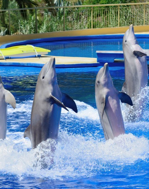 Entertainment & Relaxation